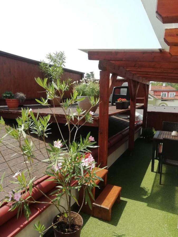 Penzion U Papousku Jindrichuv Hradec Exterior photo